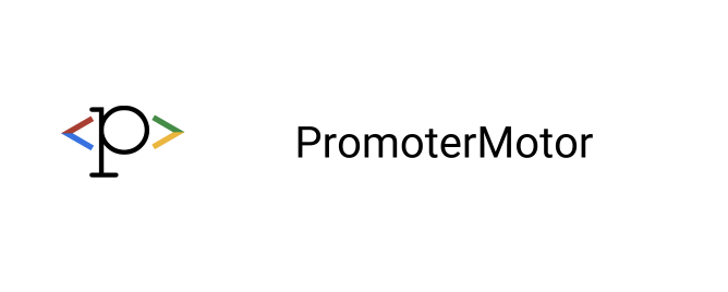 Promoter Motor Internship